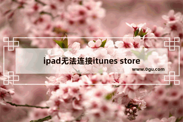 ipad无法连接itunes store怎么办