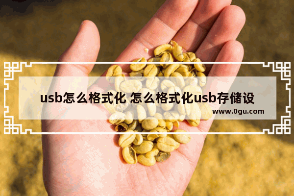 usb怎么格式化 怎么格式化usb存储设备