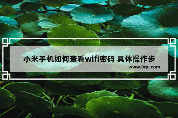 小米手机如何查看wifi密码 具体操作步骤