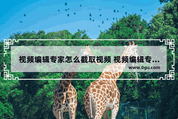 视频编辑专家怎么截取视频 视频编辑专家截取视频的方法
