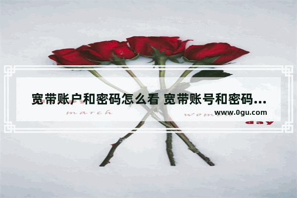 宽带账户和密码怎么看 宽带账号和密码在哪看