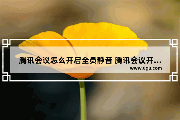 腾讯会议怎么开启全员静音 腾讯会议开启全员静音的方法