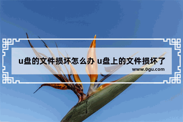 u盘的文件损坏怎么办 u盘上的文件损坏了怎么办