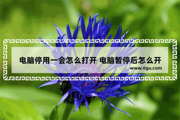 电脑停用一会怎么打开 电脑暂停后怎么开