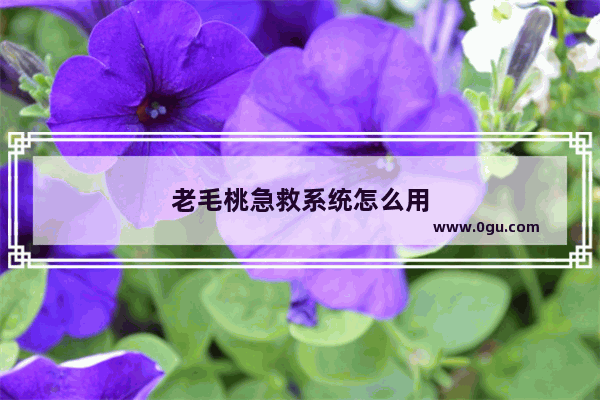 老毛桃急救系统怎么用
