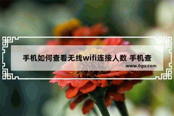 手机如何查看无线wifi连接人数 手机查看无线wifi连接人数方法【介绍】