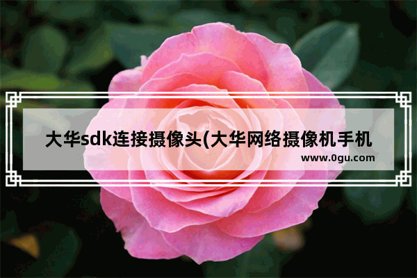 大华sdk连接摄像头(大华网络摄像机手机远程监控)
