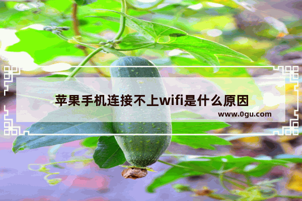 苹果手机连接不上wifi是什么原因