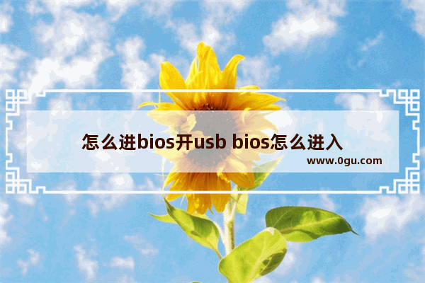 怎么进bios开usb bios怎么进入usb启动项