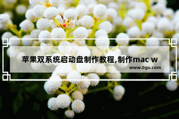 苹果双系统启动盘制作教程,制作mac win双启动盘