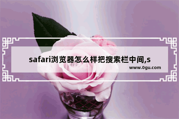 safari浏览器怎么样把搜索栏中间,safari浏览器怎么样屏蔽广告