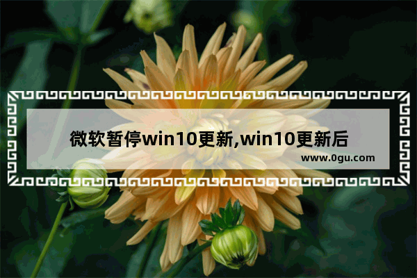 微软暂停win10更新,win10更新后未激活
