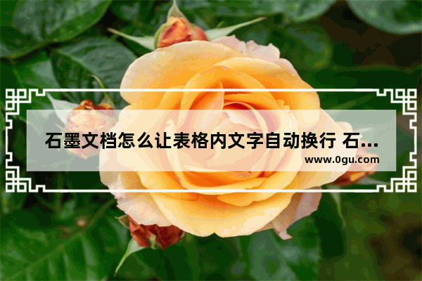 石墨文档怎么让表格内文字自动换行 石墨文档让表格内文字自动换行的方法