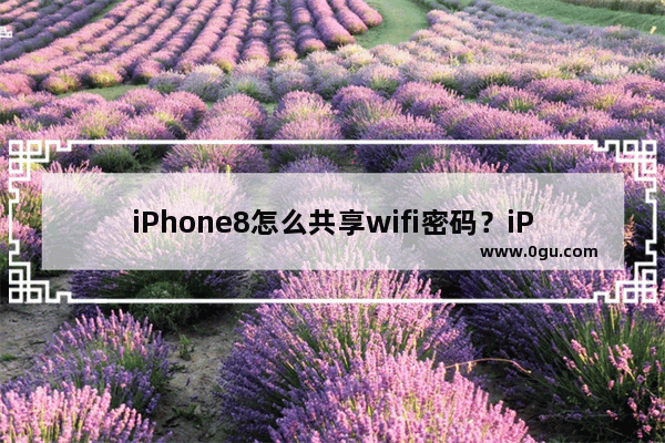 iPhone8怎么共享wifi密码？iPhone8共享wifi密码方法教程