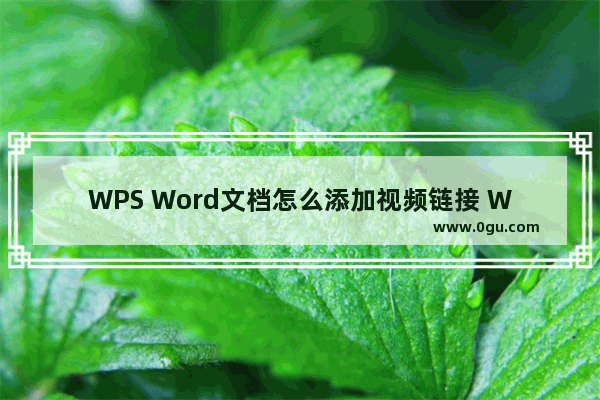 WPS Word文档怎么添加视频链接 WPS Word文档添加视频链接的方法