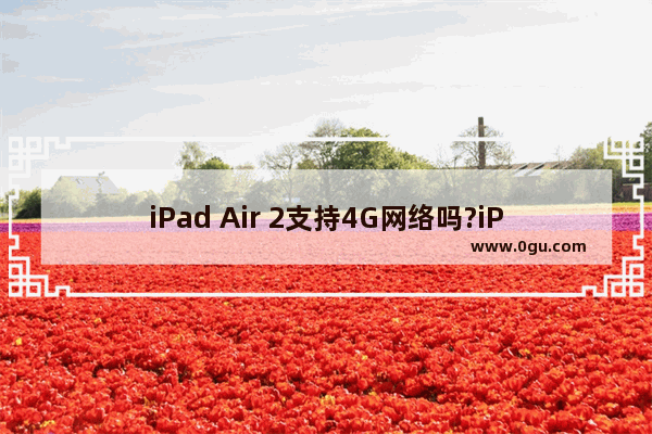 iPad Air 2支持4G网络吗?iPad Air2有4G版吗?