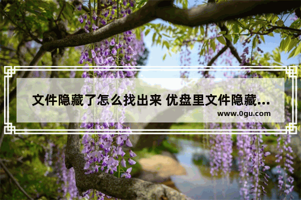 文件隐藏了怎么找出来 优盘里文件隐藏了怎么找出来