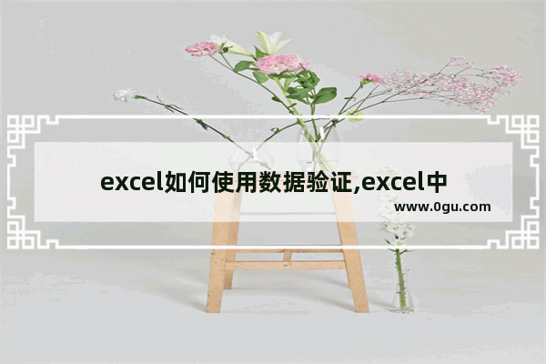 excel如何使用数据验证,excel中数据验证