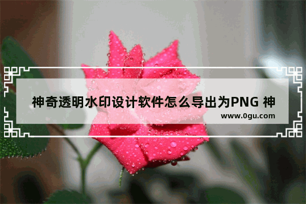 神奇透明水印设计软件怎么导出为PNG 神奇透明水印设计软件导出为PNG的方法