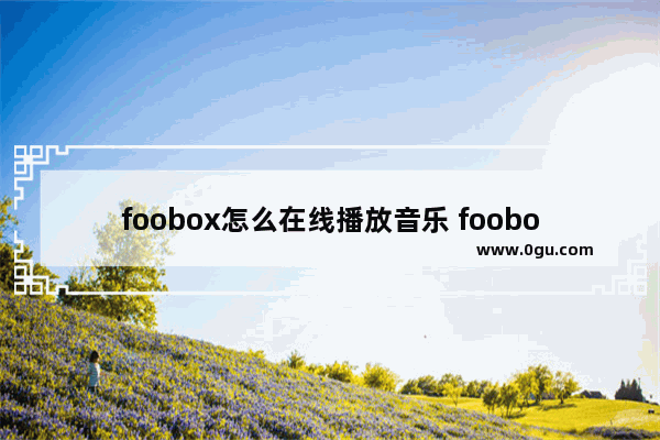 foobox怎么在线播放音乐 foobox在线播放方法