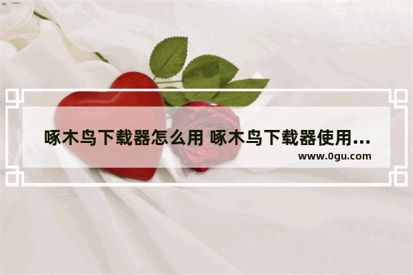 啄木鸟下载器怎么用 啄木鸟下载器使用方法