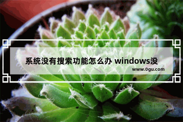 系统没有搜索功能怎么办 windows没有搜索功能