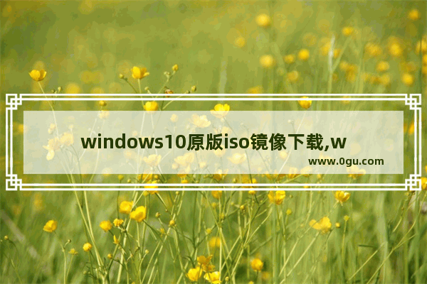 windows10原版iso镜像下载,windows10镜像iso文件下载