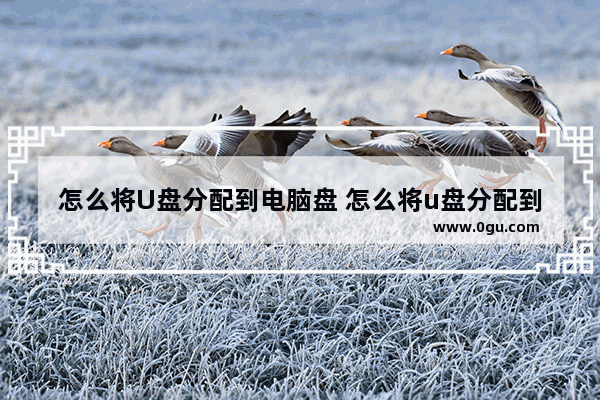 怎么将U盘分配到电脑盘 怎么将u盘分配到电脑盘中