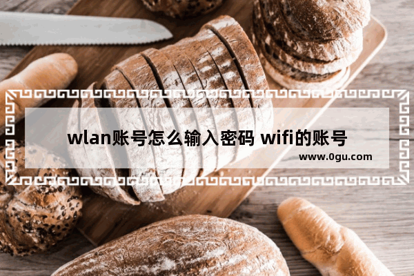wlan账号怎么输入密码 wifi的账号在哪里设置