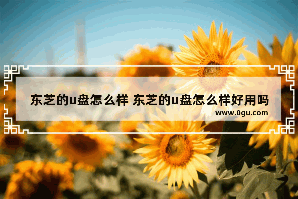 东芝的u盘怎么样 东芝的u盘怎么样好用吗