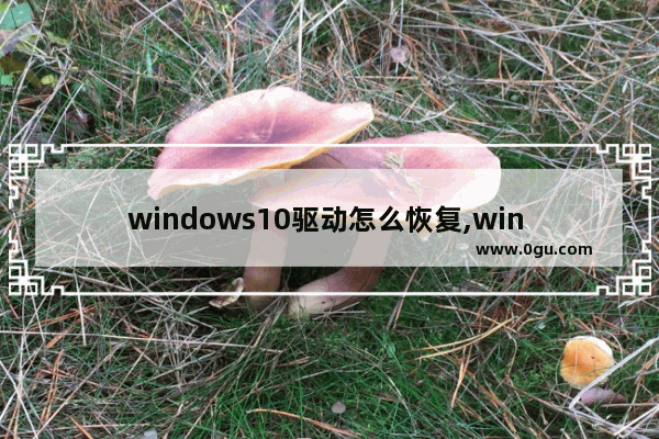 windows10驱动怎么恢复,win 10 驱动怎么修复