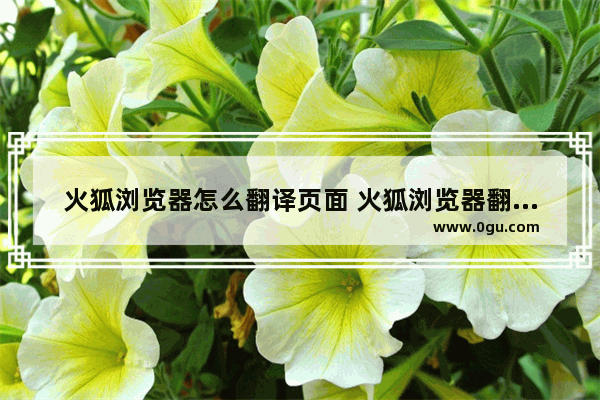 火狐浏览器怎么翻译页面 火狐浏览器翻译页面的方法