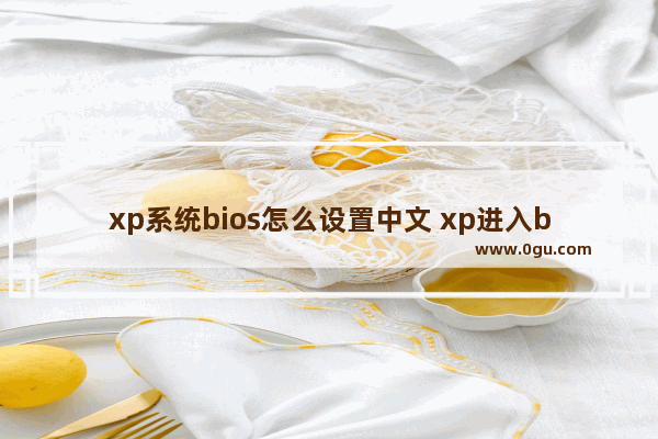 xp系统bios怎么设置中文 xp进入bios怎么改为u盘启动项