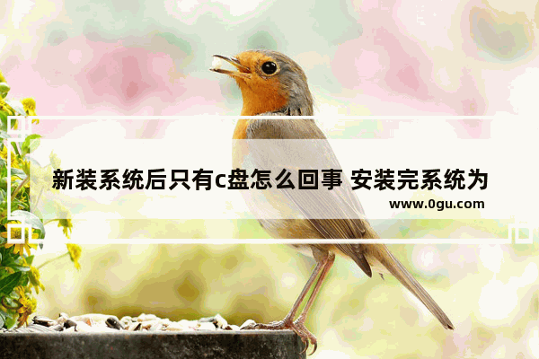 新装系统后只有c盘怎么回事 安装完系统为什么只有c盘