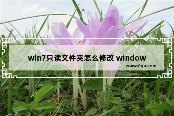 win7只读文件夹怎么修改 windows7只读文件属性
