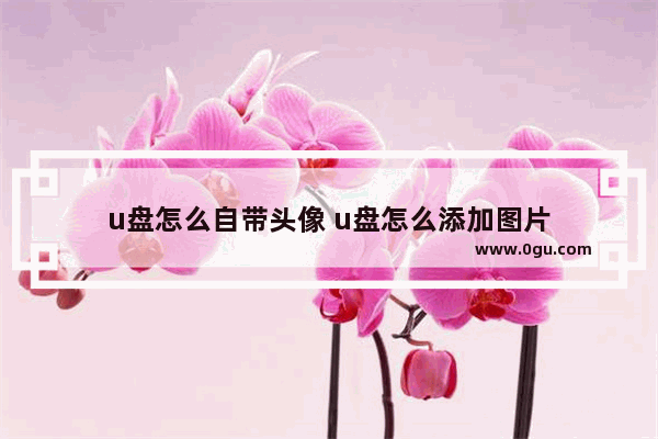 u盘怎么自带头像 u盘怎么添加图片