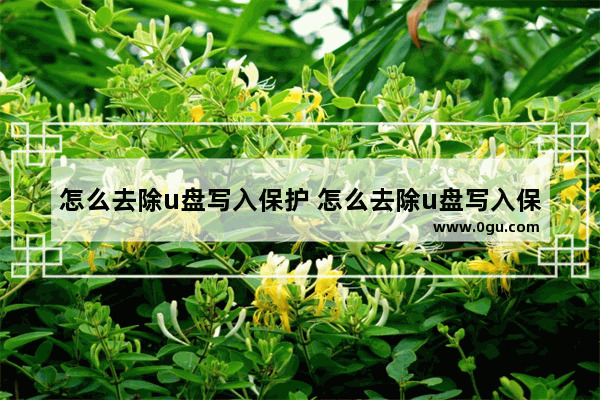 怎么去除u盘写入保护 怎么去除u盘写入保护文件