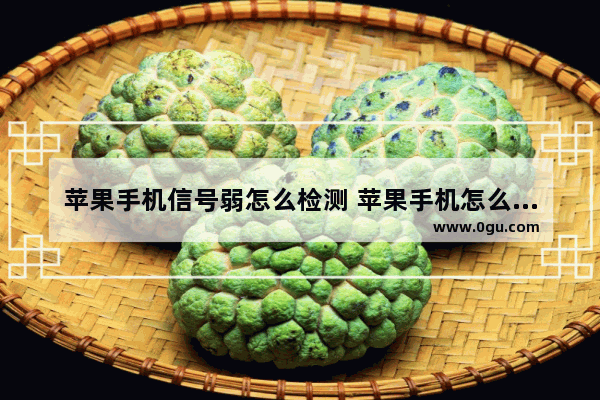 苹果手机信号弱怎么检测 苹果手机怎么检查信号强度