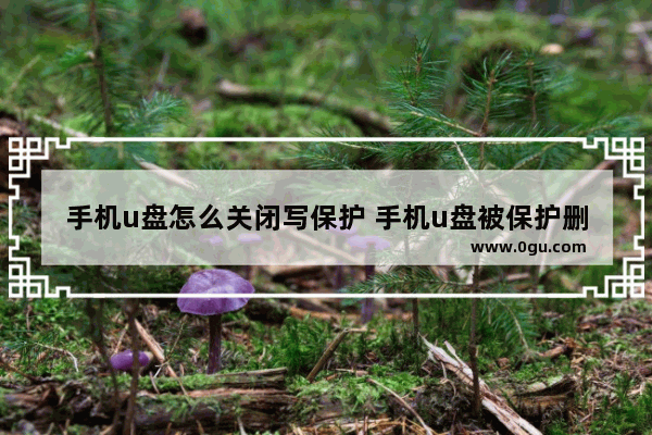 手机u盘怎么关闭写保护 手机u盘被保护删不掉怎么办