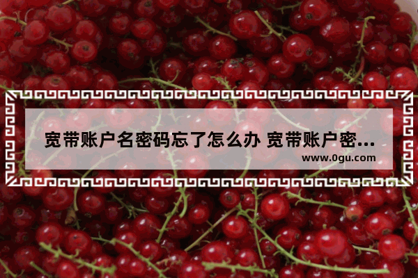 宽带账户名密码忘了怎么办 宽带账户密码忘了怎么办最简单的方法