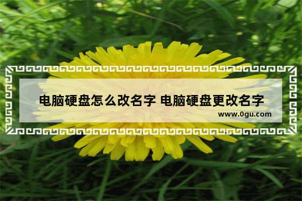 电脑硬盘怎么改名字 电脑硬盘更改名字