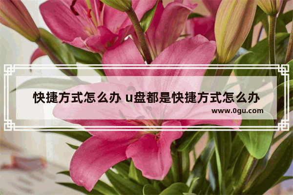 快捷方式怎么办 u盘都是快捷方式怎么办