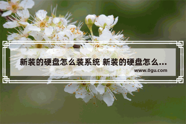 新装的硬盘怎么装系统 新装的硬盘怎么装系统