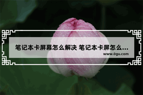 笔记本卡屏幕怎么解决 笔记本卡屏怎么处理