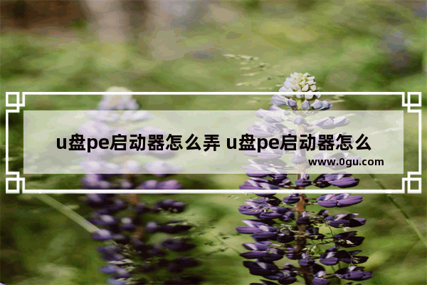 u盘pe启动器怎么弄 u盘pe启动器怎么弄到电脑上