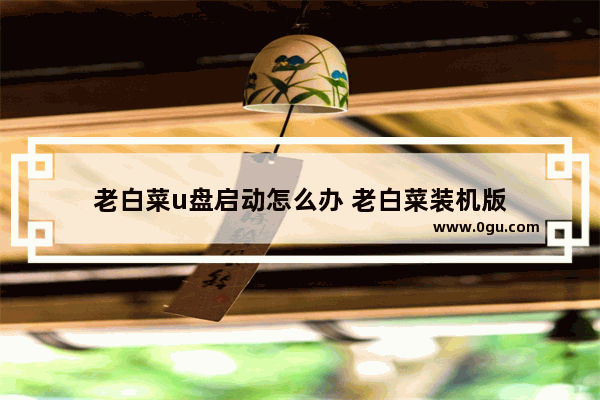 老白菜u盘启动怎么办 老白菜装机版