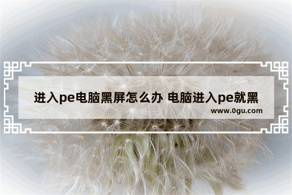 进入pe电脑黑屏怎么办 电脑进入pe就黑屏