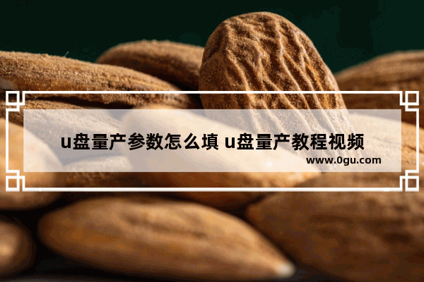 u盘量产参数怎么填 u盘量产教程视频