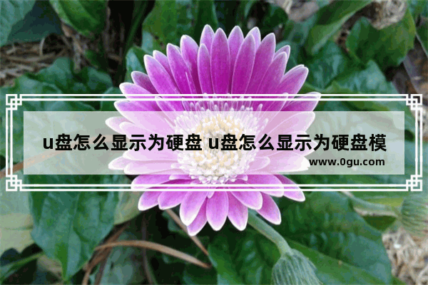 u盘怎么显示为硬盘 u盘怎么显示为硬盘模式