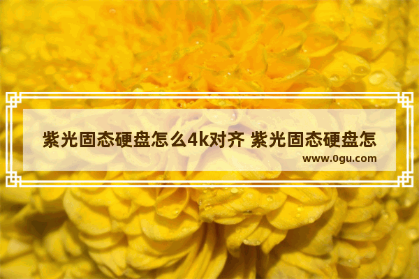 紫光固态硬盘怎么4k对齐 紫光固态硬盘怎么4k对齐显示